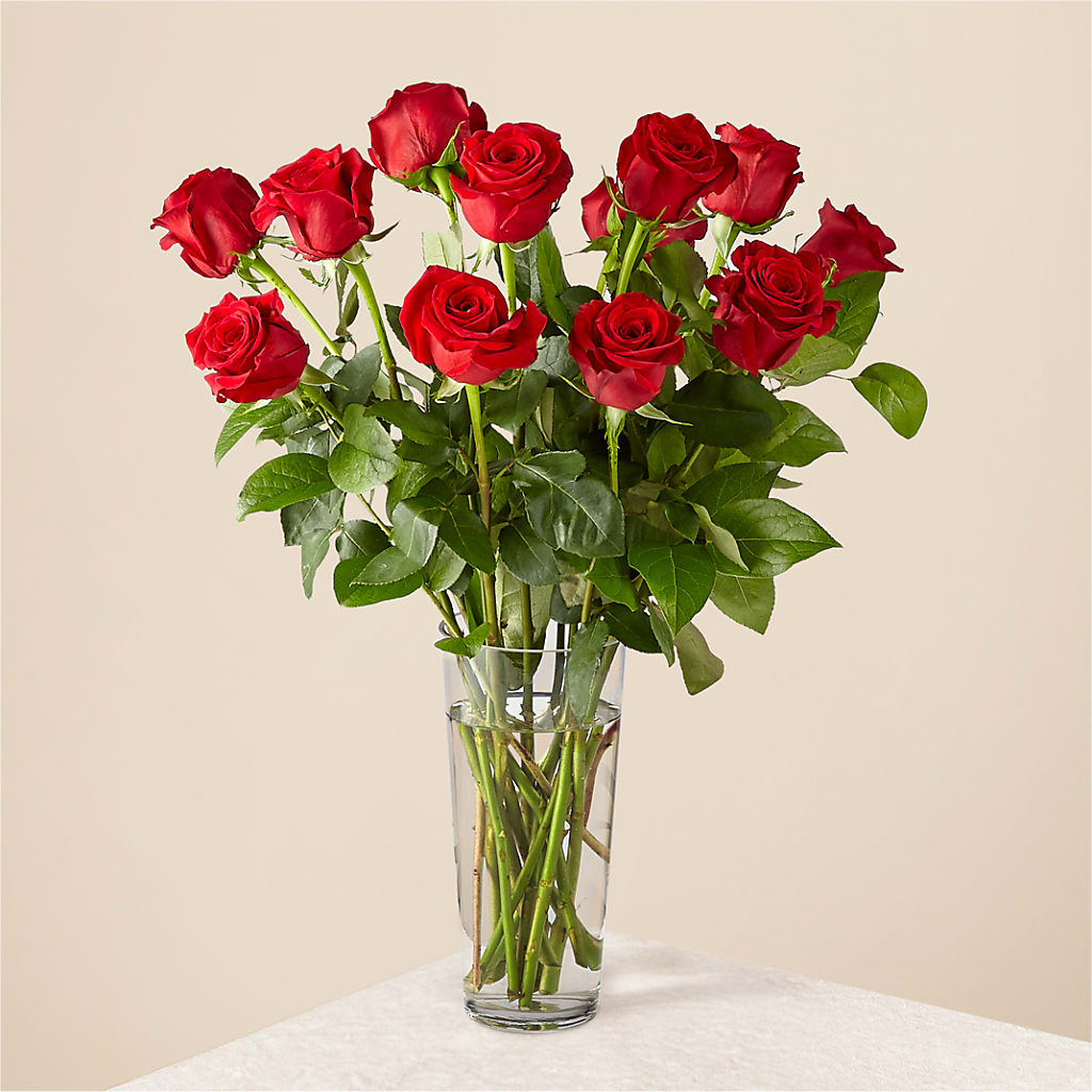 Long Stem Red Rose Bouquet – AARON'S FLOWERS, La Vista NE