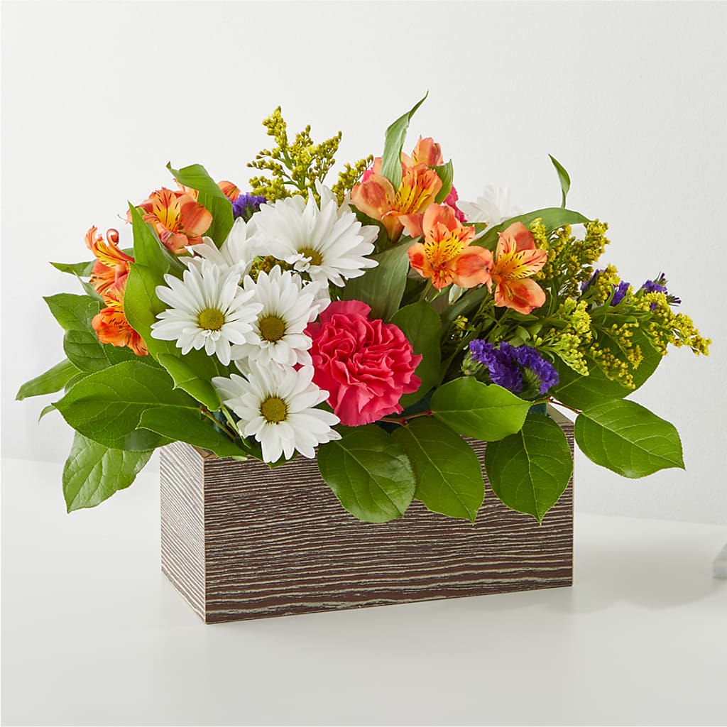 Oopsie Daisy Box Bouquet – AARON'S FLOWERS, La Vista NE