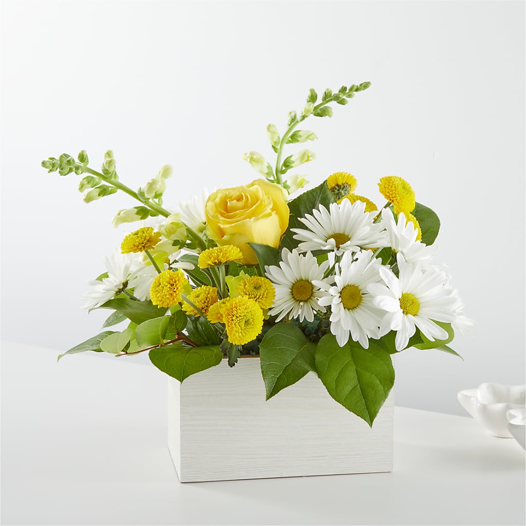 Sun Salutation Box Bouquet – AARON'S FLOWERS, La Vista NE