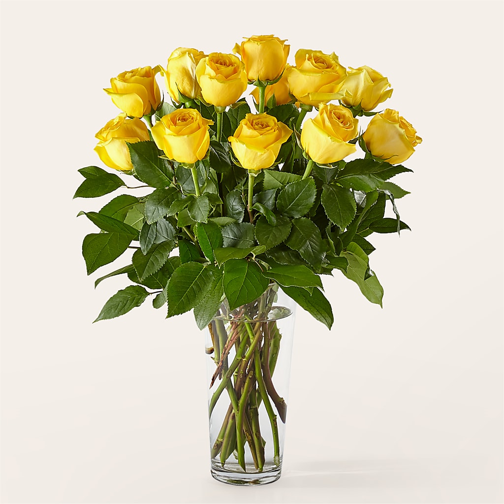Long Stem Yellow Rose Bouquet – AARON'S FLOWERS, La Vista NE