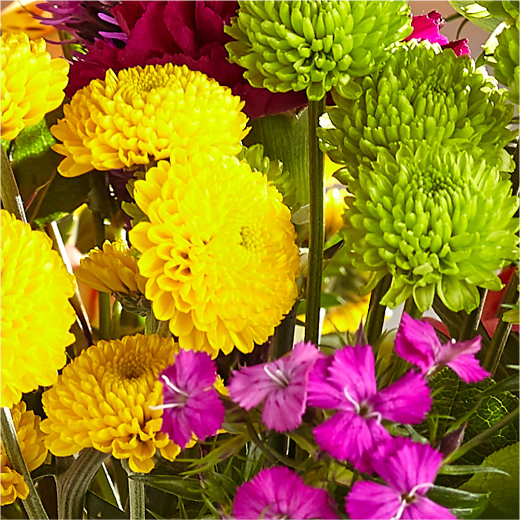 Bold & Bright – A Florist Original – AARON'S FLOWERS, La Vista NE