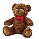 Adorable Plush Bear – AARON'S FLOWERS, La Vista NE