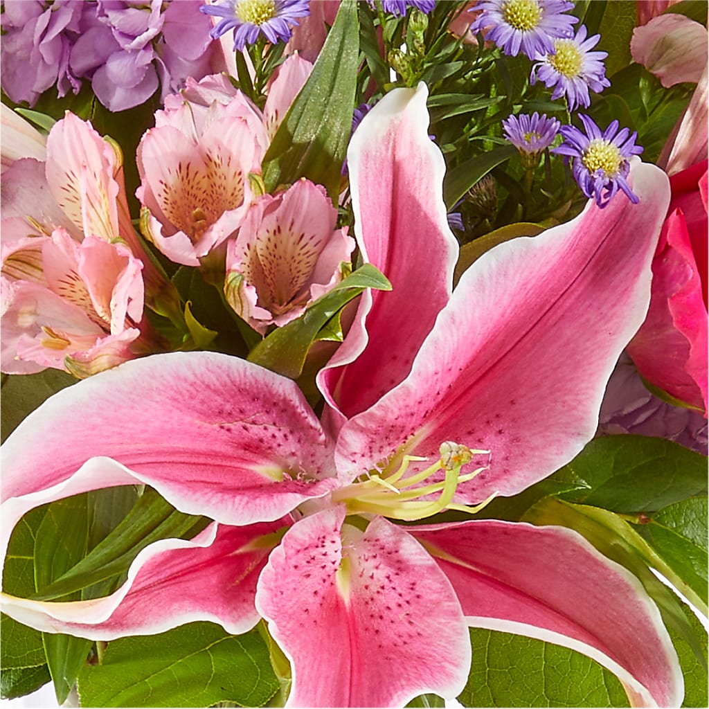 Written in the Stars Bouquet – AARON'S FLOWERS, La Vista NE