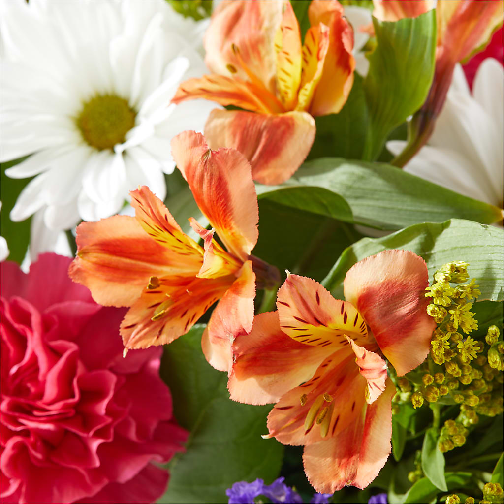Oopsie Daisy Box Bouquet – AARON'S FLOWERS, La Vista NE