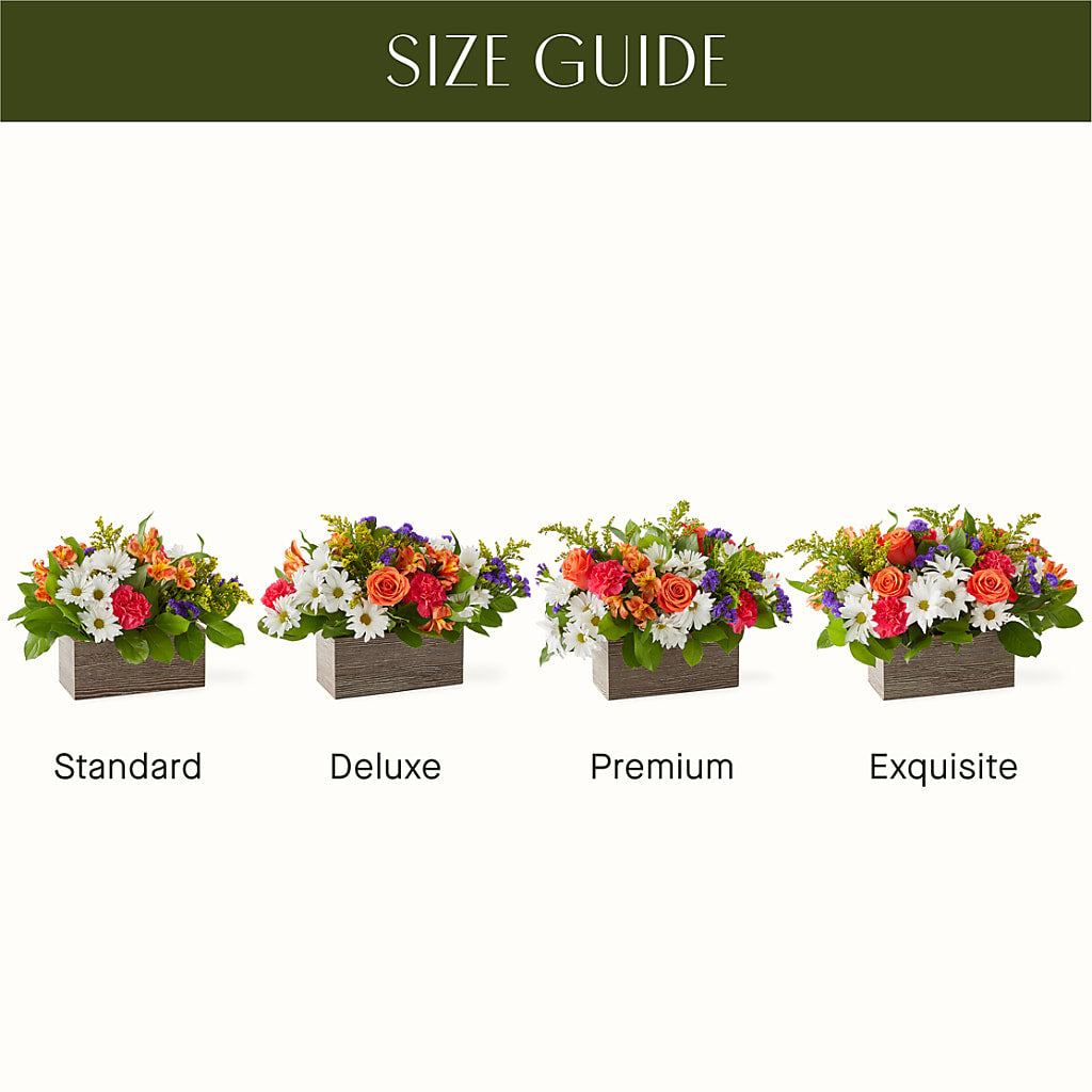 Oopsie Daisy Box Bouquet – AARON'S FLOWERS, La Vista NE