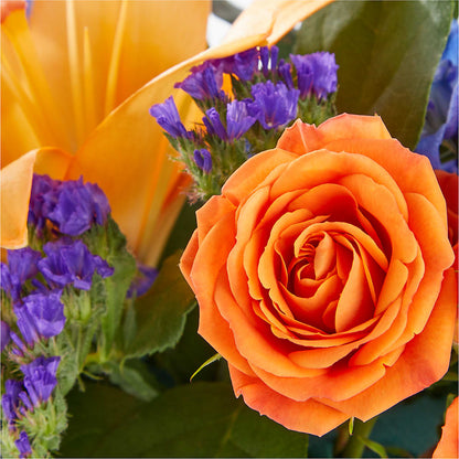 Radiant Citrus Box Bouquet – AARON'S FLOWERS, La Vista NE
