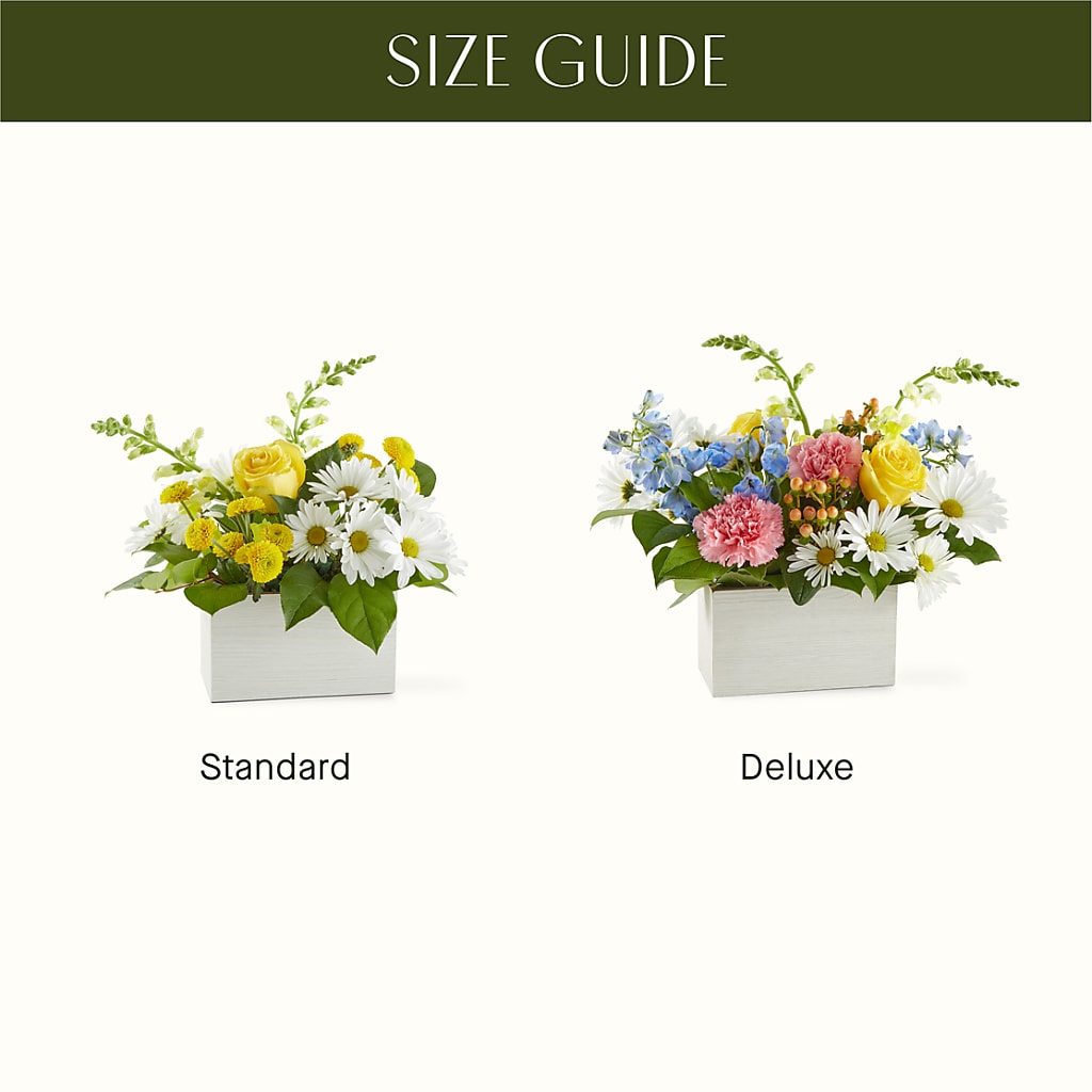 Sun Salutation Box Bouquet – AARON'S FLOWERS, La Vista NE