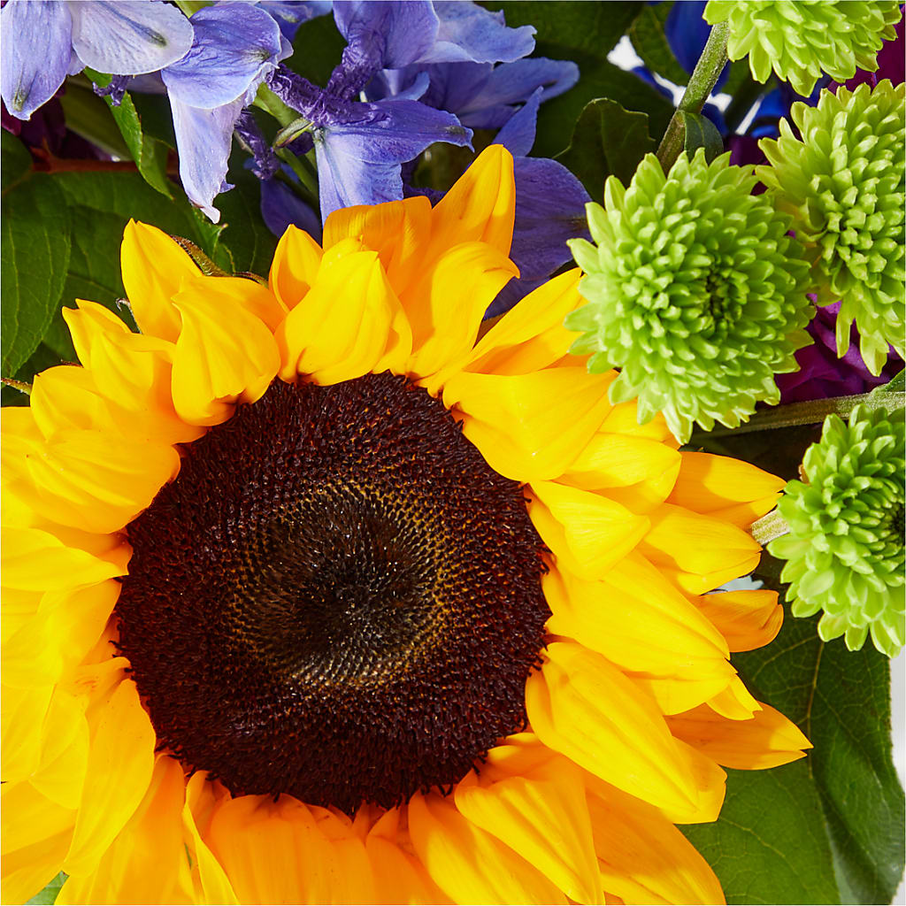 Catching Rays Bouquet – AARON'S FLOWERS, La Vista NE