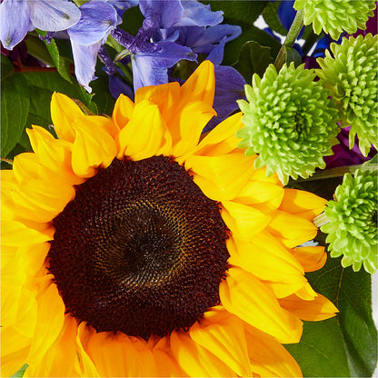 Catching Rays Bouquet – AARON'S FLOWERS, La Vista NE