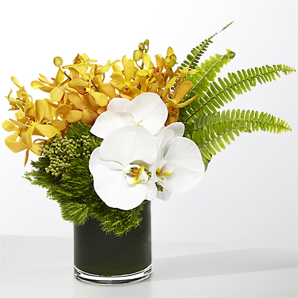 The Tropics – AARON'S FLOWERS, La Vista NE