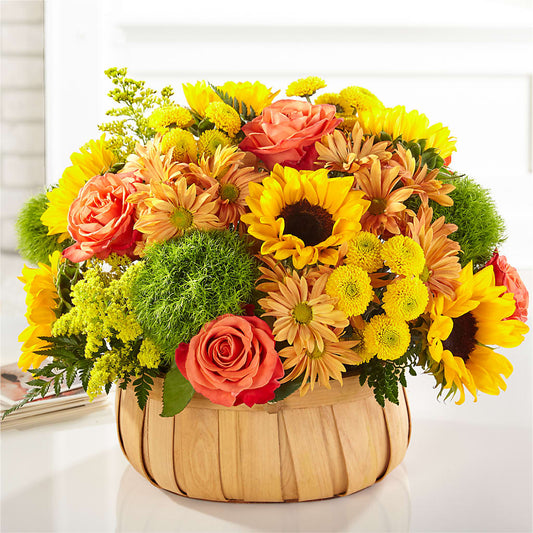 Harvest Sunflower Basket – AARON'S FLOWERS, La Vista NE
