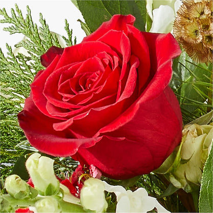 Deck the Halls Bouquet – AARON'S FLOWERS, La Vista NE