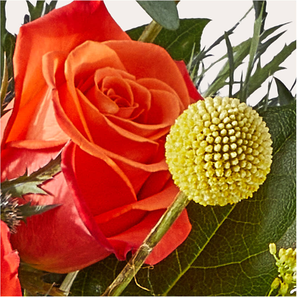 Disco Bouquet – AARON'S FLOWERS, La Vista NE