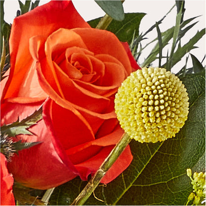 Disco Bouquet – AARON'S FLOWERS, La Vista NE