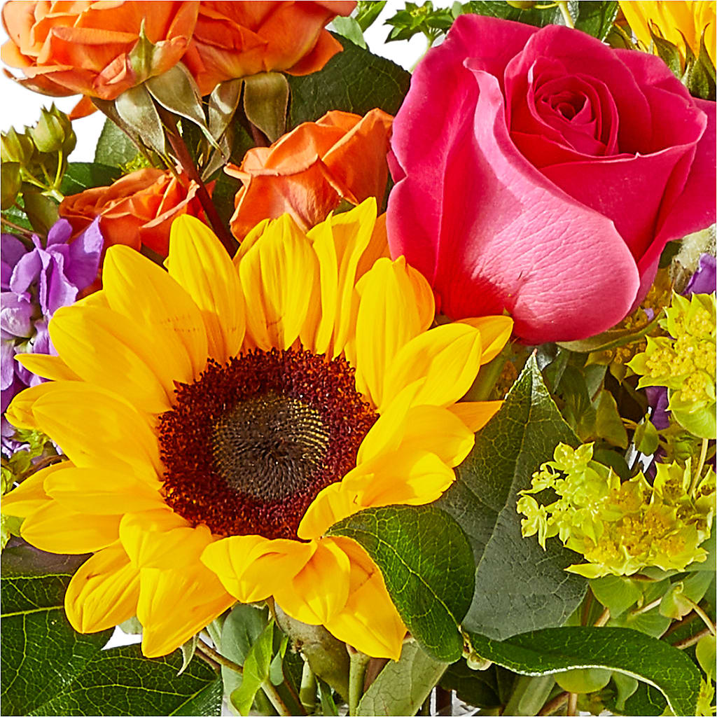 Vibrant Greetings Bouquet – AARON'S FLOWERS, La Vista NE