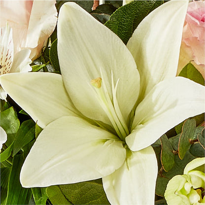 Ballet Slippers Bouquet – AARON'S FLOWERS, La Vista NE