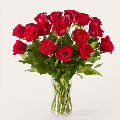 The One Red Rose Bouquet – AARON'S FLOWERS, La Vista NE