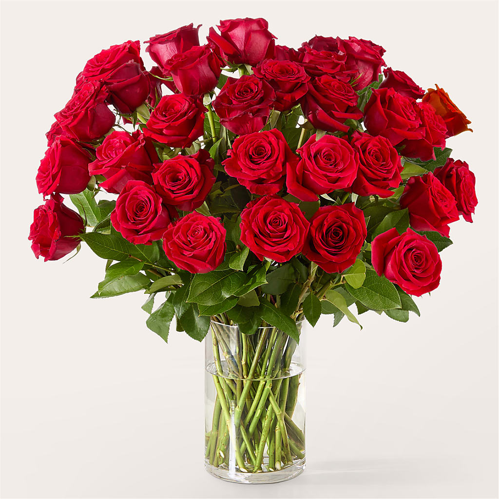 The One Red Rose Bouquet – AARON'S FLOWERS, La Vista NE