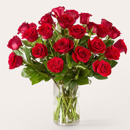The One Red Rose Bouquet – AARON'S FLOWERS, La Vista NE