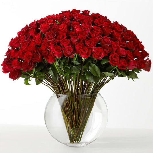 The Idealist – AARON'S FLOWERS, La Vista NE