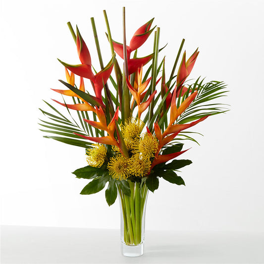 The Drama – AARON'S FLOWERS, La Vista NE