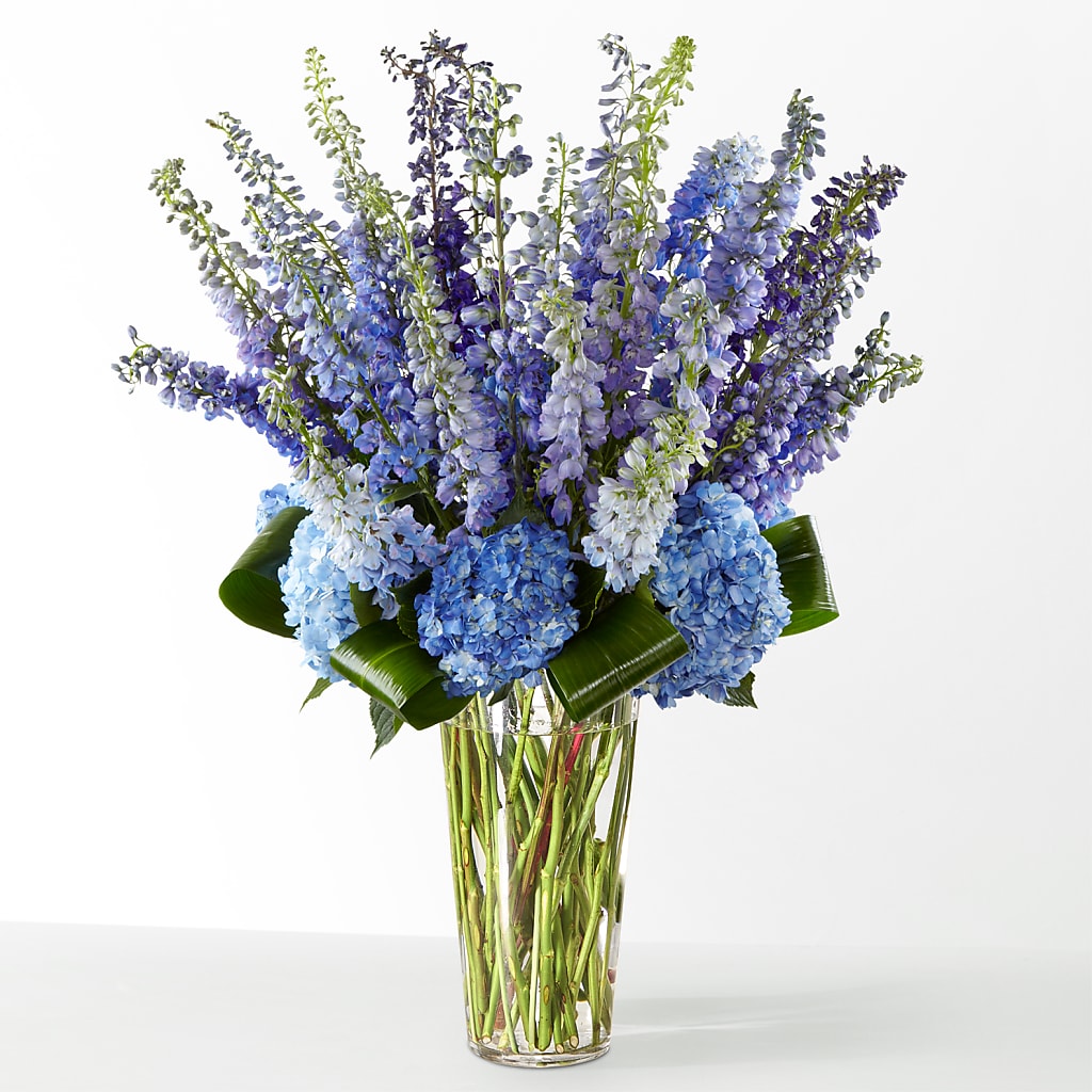 The Editorial – AARON'S FLOWERS, La Vista NE
